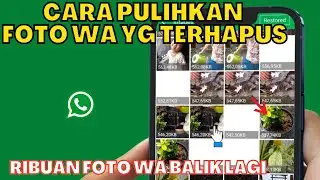 CARA MEMULIHKAN FOTO WA YANG TERHAPUS | RIBUAN FOTO WA & GALERY BALIK LAGI DENGAN CARA INI
