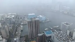 Snow in Tokyo, 2020/03/29
