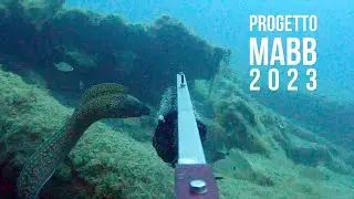 Progetto MABB 2023 - Blue Conservancy