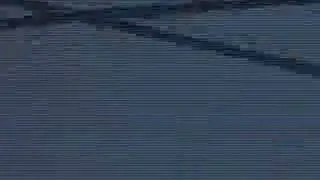 [BMS]U.L.S.I. / cranky