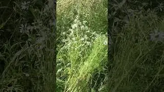 Хобби. Отдых.#коллекция,#радость#