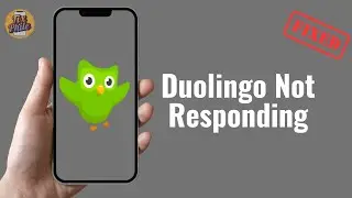 How to Fix Duolingo App Crashing or Not Loading (2025)