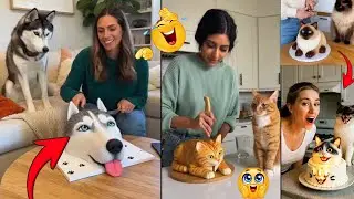 🐶Dog and Cat Reaction to Cutting Cake 🤣| Funny Pet Cake Reaction Compilation