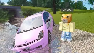 If Cats Were Scammed