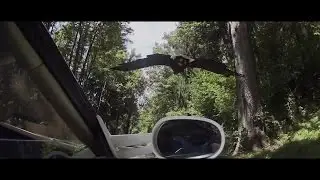 Spyker supercar and eagle by Sony Action Cam mini