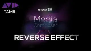 How to REVERSE a Video in AVID Media Composer | Tamil