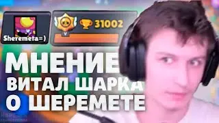МНЕНИЕ ВИТАЛ ШАРКА о ШЕРЕМЕТЕ | Нарезка со стрима Vital Shark