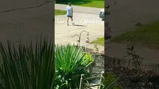 Lazy USPS Worker Caught On Camera! #postoffice #usps #caughtoncamera