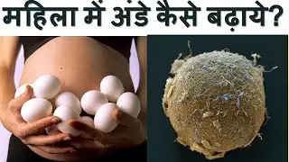 ये करेंगे तो 7 दिन में महिला में अंडे तैयार हो जायँगे | Improve Egg quality in hindi