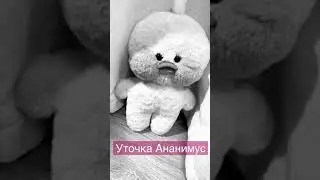 Уточка Ананимус из тиктока