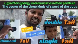 புறாவின் மூன்று வகையான வாளின் ரகசியம்|| pigeon 3 sword secret || #petsworld #pura #love #video #dove