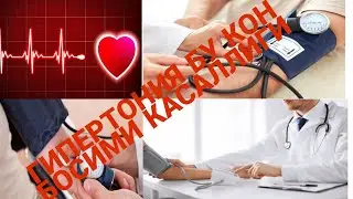 КИМЛАРДА КОН БОСИМИ КУТАРИЛАДИ | KIMLARDA QON BOSIMI KO'TARILADI.