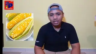 apakah jagung baik untuk arnab