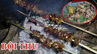 BỘI THU CHIM RỪNG BỮA CƠM GIÁ TRỊ - THỢ NÚI