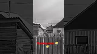 ЧТО ЭТО 😶‍🌫️😶‍🌫️😶‍🌫️???))))) 
