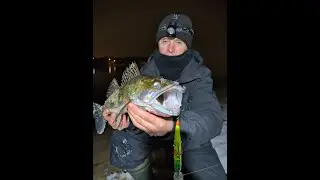 ЗАПАХЛО ВЕСНОЙ...  МАРТОК...   2024 г.😎