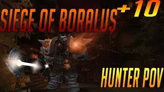 Mythic+10 || Survival Hunter PoV