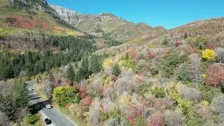 Fall Colors 2023