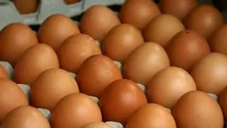 Топ 10 продуктов для похудения