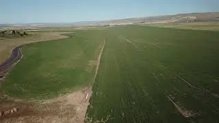 WildHorse RV Park and golf course.