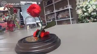 Вечная роза из 