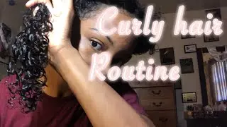 Curly Hair Routine Ft. Isee Hair