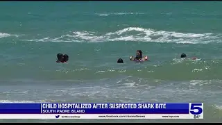 Child hospitalized after suspected shark bite on South Padres Island