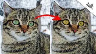 How to Change Eye Color in GIMP
