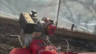 як мене укусила весна ;)