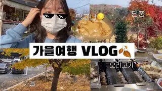 VLOG| 기말 버리고 무지성으로 떠난 가을여행🍂 feat. 오징어게임🦑 달고나🍯