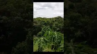 La Ermita, Panamá 🇵🇦