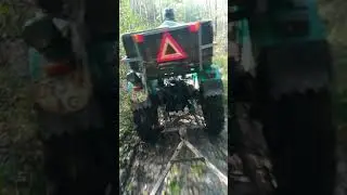 Їдемо за грибами :) ДТ20