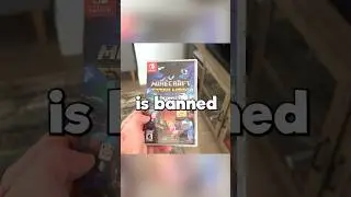 The BANNED Nintendo Switch Game 
