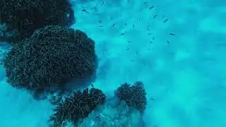 симиланы пхукет