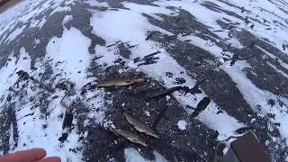 Первый лед! оз. Долгое! Щука на жерлицы.