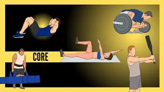 El CORE en el Entrenamiento NO es lo Que Piensas… (4 categorías y estructuras)