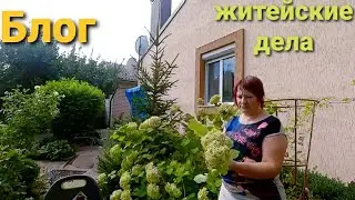 Река цветет, обед КФС, обрезка гортензии, 