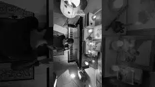 🎶 “La rondine” by Pino Mango 