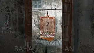 Bahan Pastolan PurnamaJr Di Berangkat kan Tujuan Blok barat