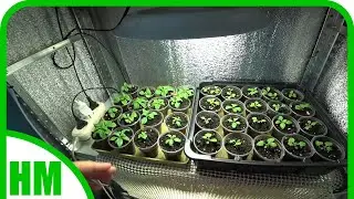 4 - 5 марта. Свет всему голова 😁.