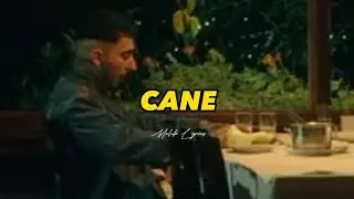 UZI - Caney #keşfet #shorts #uzi