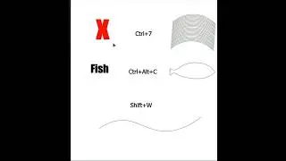 Shortcut tools in Adobe illustrator 