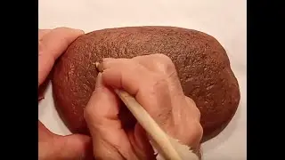 CHRYSOGRAPHIE 
