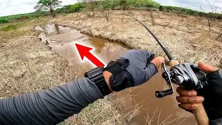 SUPER BABY PADDLE POP -  (Field Test)