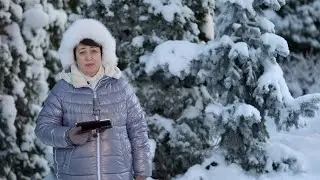 3026. Хлеб на каждый день. Псалом 60:1, 2