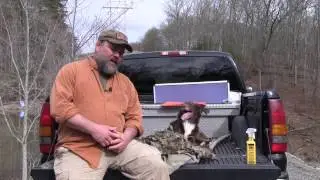 How best to avoid ticks from an outdoor expert - permethrin or deet?