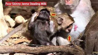 Poor Skinny Janna Stealing milk by shock, Because she is hungry, Mom Jane  keep for Jody only, but..