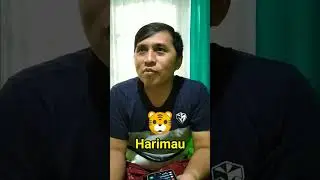 Ayam Berkokok, Harimau? 🐅