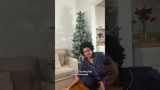 Where is my dog? Trees and chats🎄