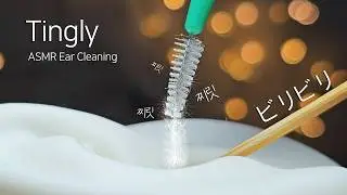 ASMR 헙!🫢 목덜미를 타고 뇌까지 들어가요~👂귀청소 (No Talking) Ear Cleaning